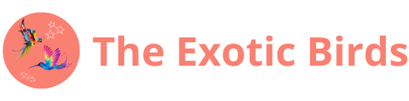 The Exotic Birds